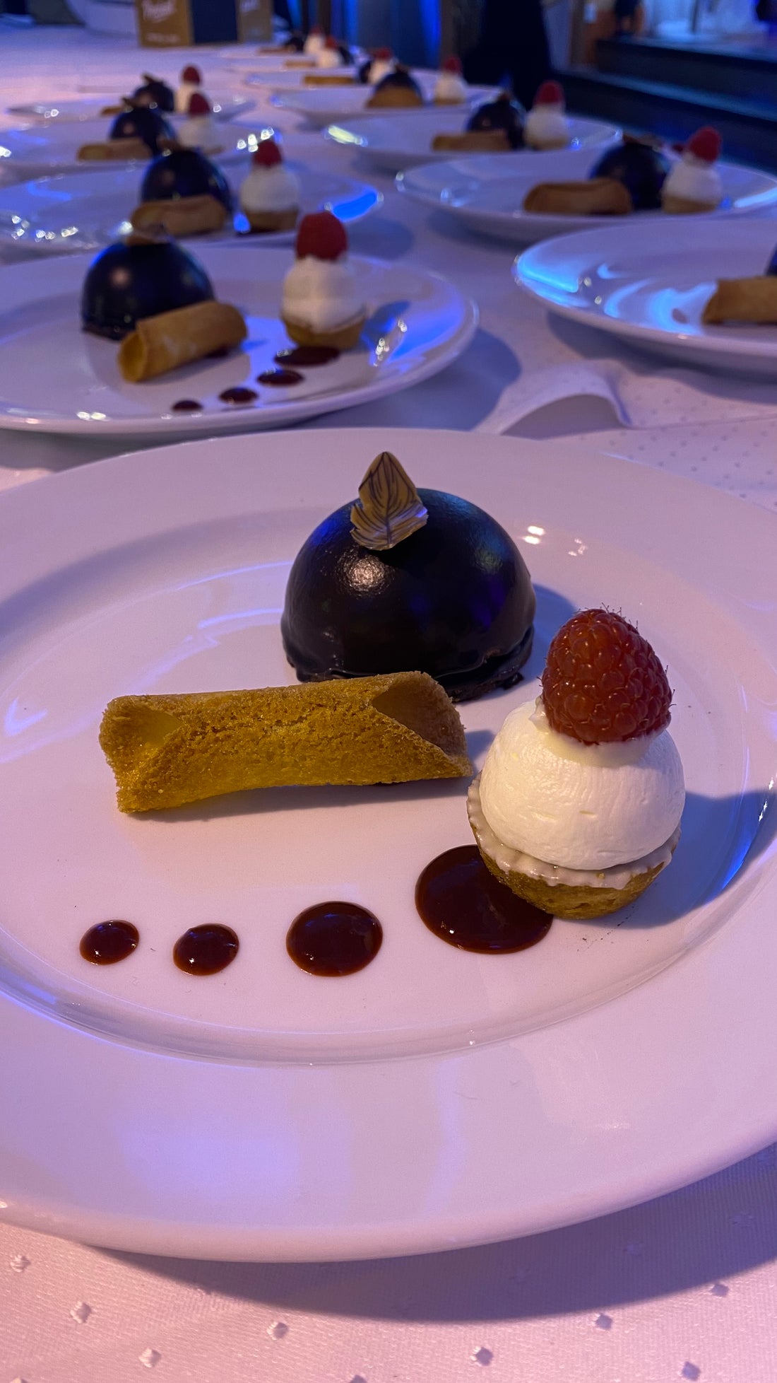 Feines Törtchen aus Schokoladenmousse mit Zigarillo und versüßter Himbeere